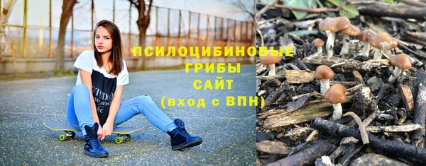 гашишное масло Заводоуковск