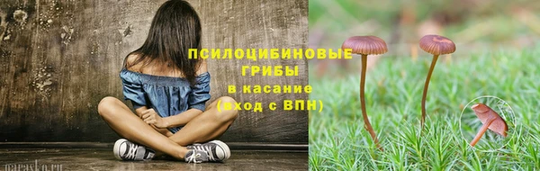 гашишное масло Заводоуковск